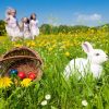Húsvét – minden, amit tudnod kell a tavasz ünnepéről