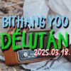 KZee – BitHang Yoo délután 18/03/2025