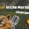 Lion in the morning – Little Lion